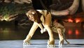 Lionking 0149